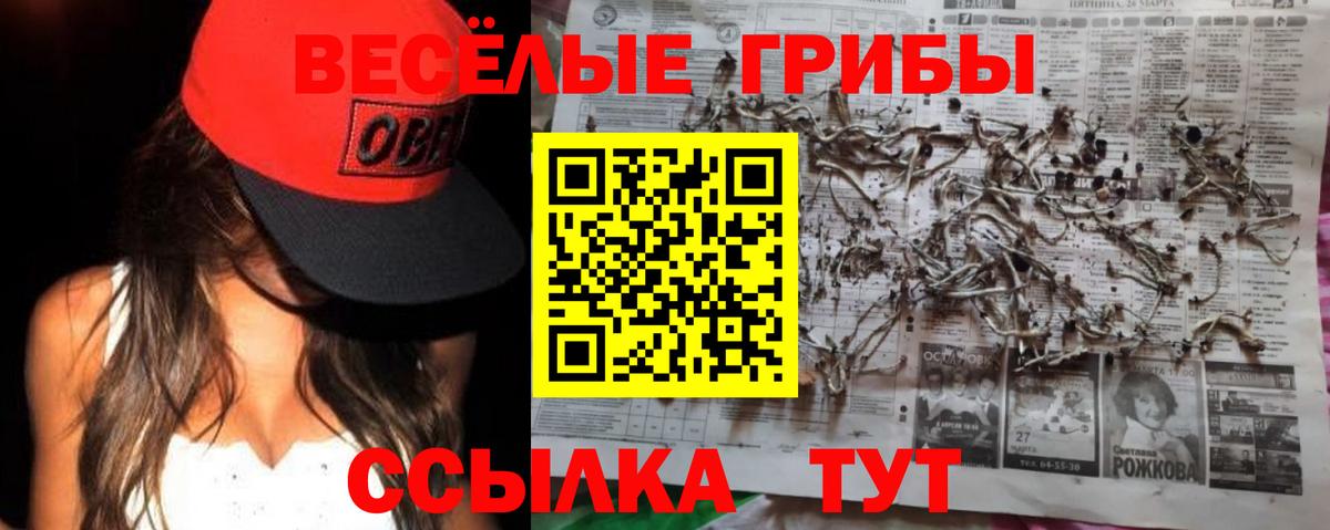 Ливны  Псилоцибиновые грибы Cubensis  Вход с VPN 